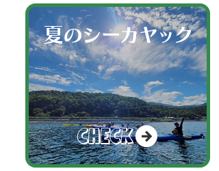 夏のシーカヤック | 有限会社岩尾別ツアーサービス